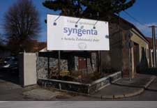 syngenta-bilboard